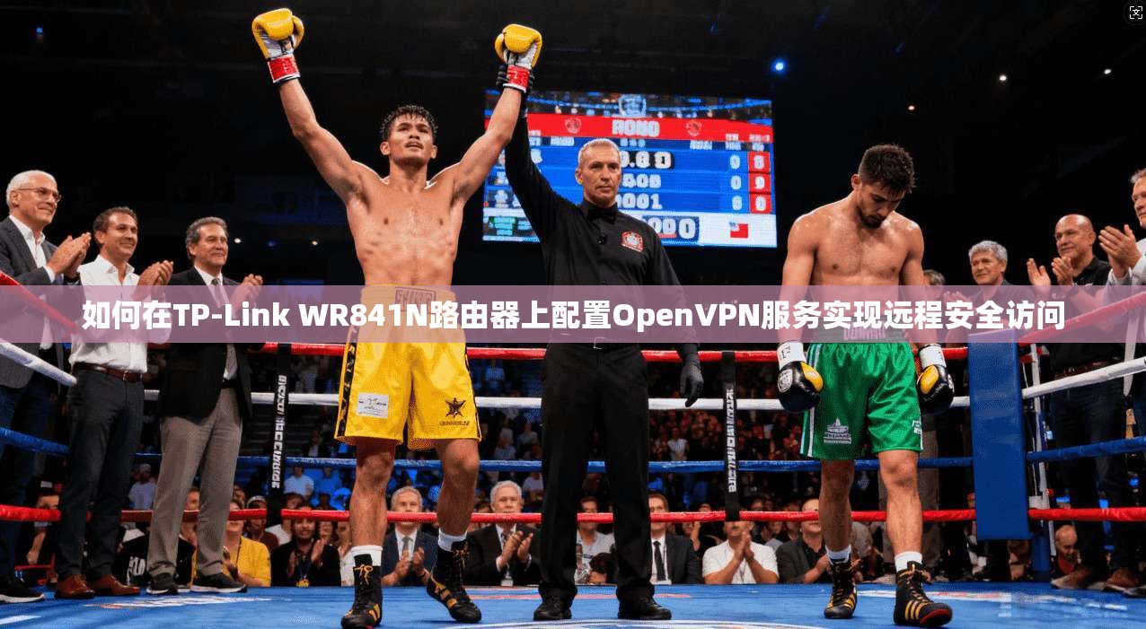 如何在TP-Link WR841N路由器上配置OpenVPN服务实现远程安全访问