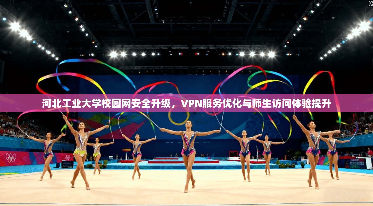 河北工业大学校园网安全升级，VPN服务优化与师生访问体验提升