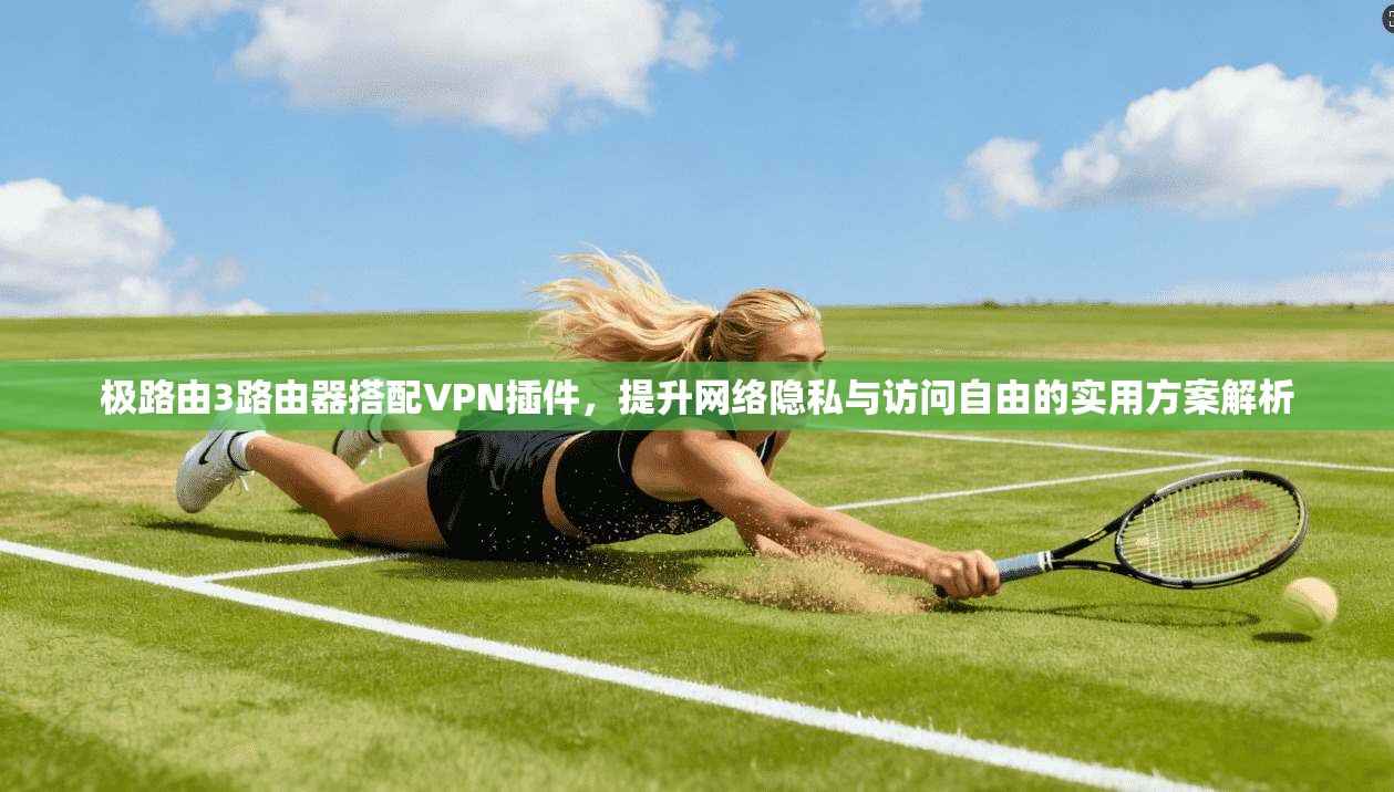 极路由3路由器搭配VPN插件，提升网络隐私与访问自由的实用方案解析