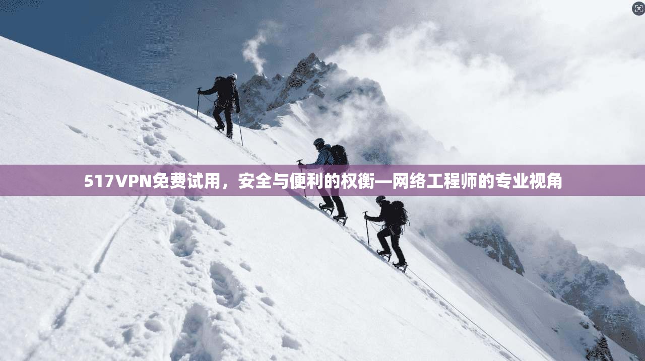 517VPN免费试用，安全与便利的权衡—网络工程师的专业视角