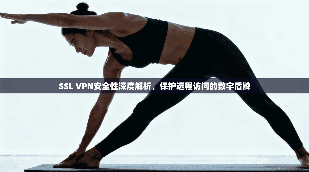 SSL VPN安全性深度解析，保护远程访问的数字盾牌