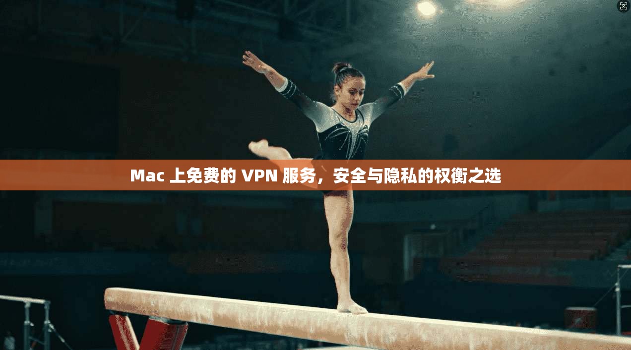 Mac 上免费的 VPN 服务，安全与隐私的权衡之选