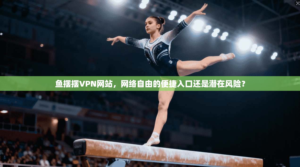 鱼摆摆VPN网站，网络自由的便捷入口还是潜在风险？