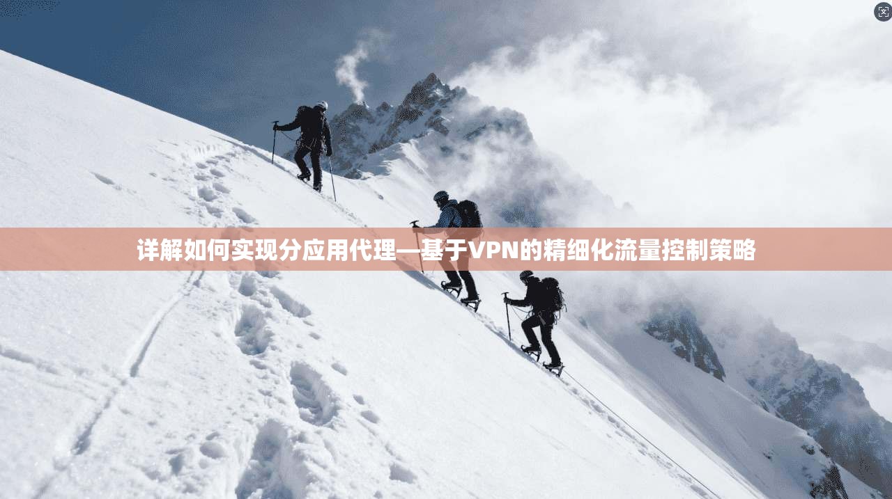 详解如何实现分应用代理—基于VPN的精细化流量控制策略