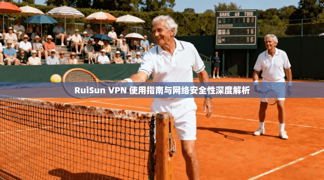 RuiSun VPN 使用指南与网络安全性深度解析