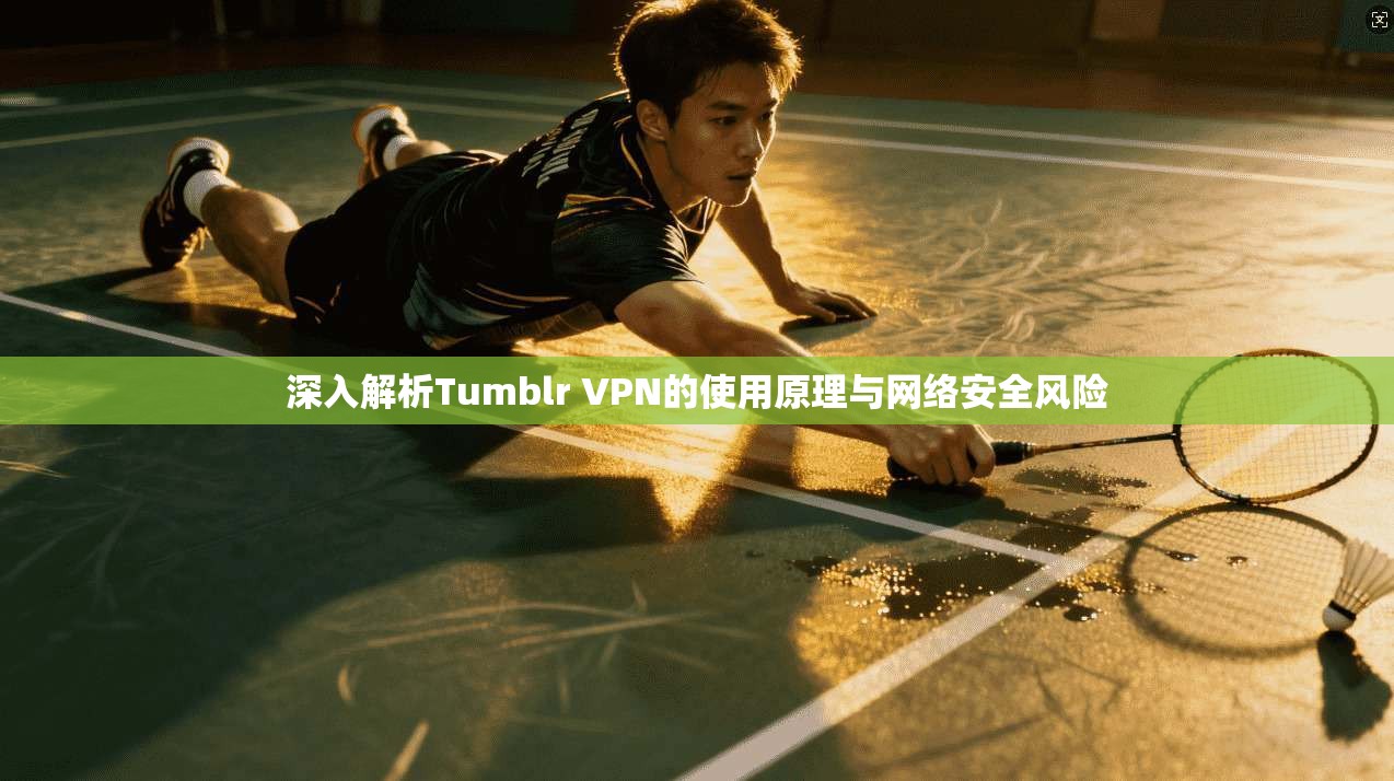 深入解析Tumblr VPN的使用原理与网络安全风险