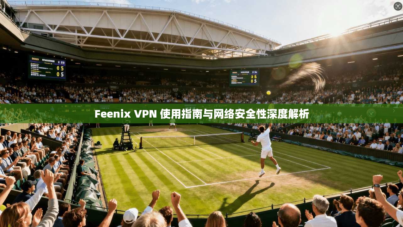 Feenix VPN 使用指南与网络安全性深度解析