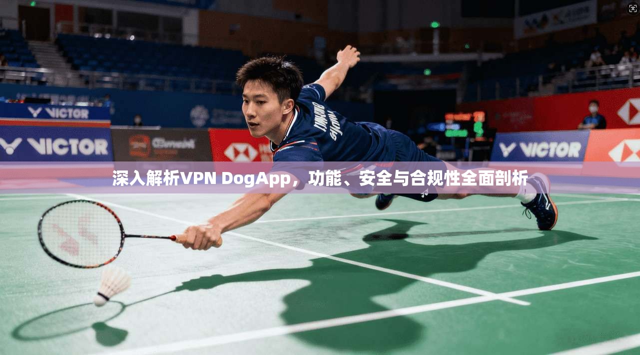深入解析VPN DogApp，功能、安全与合规性全面剖析