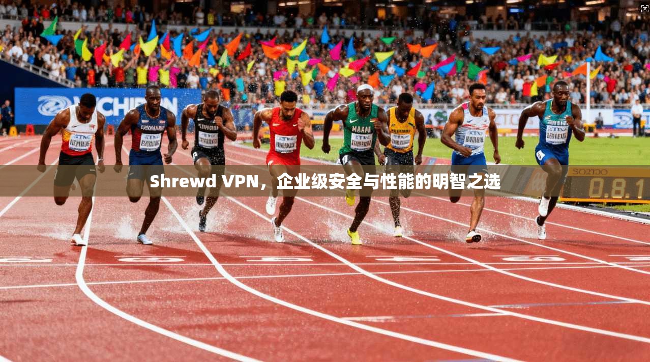 Shrewd VPN，企业级安全与性能的明智之选