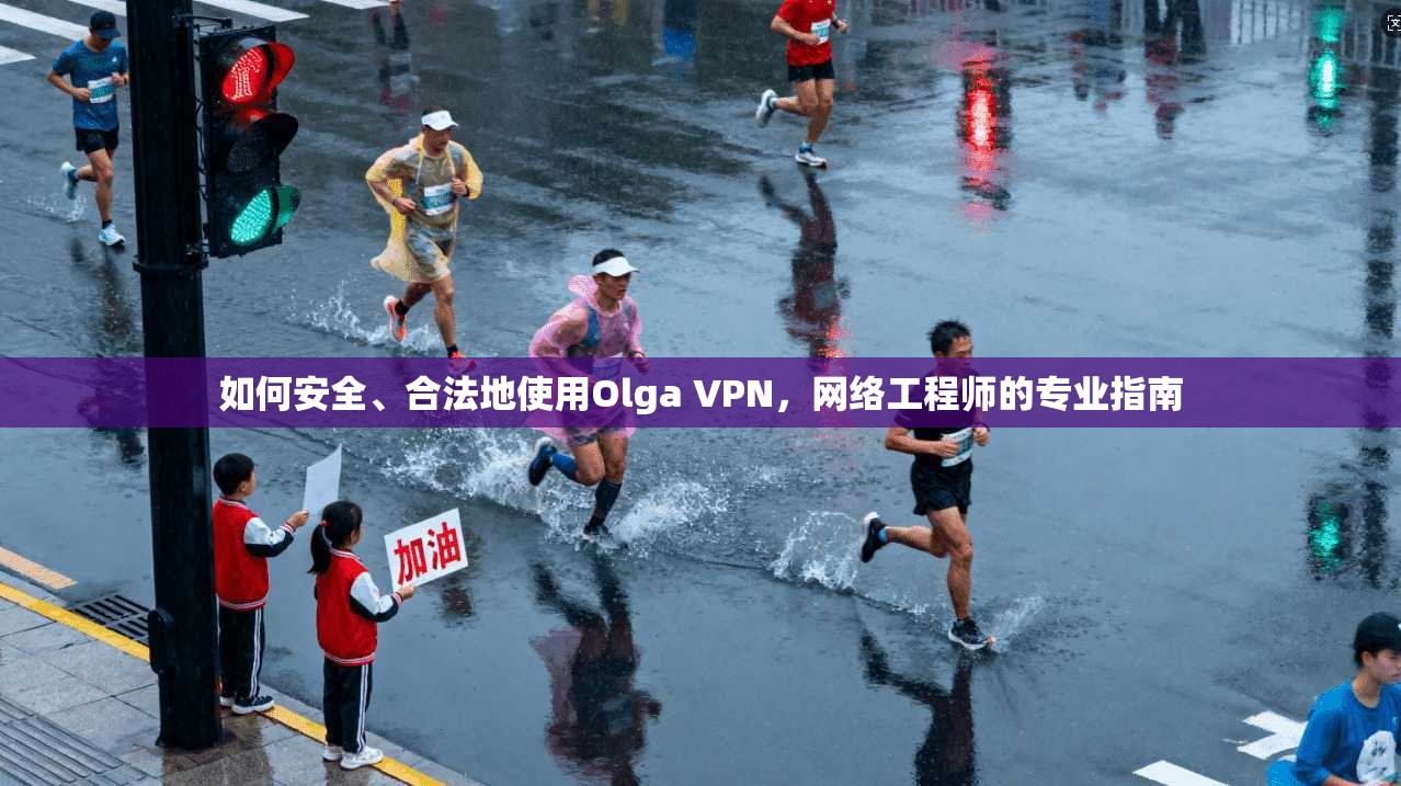 如何安全、合法地使用Olga VPN，网络工程师的专业指南