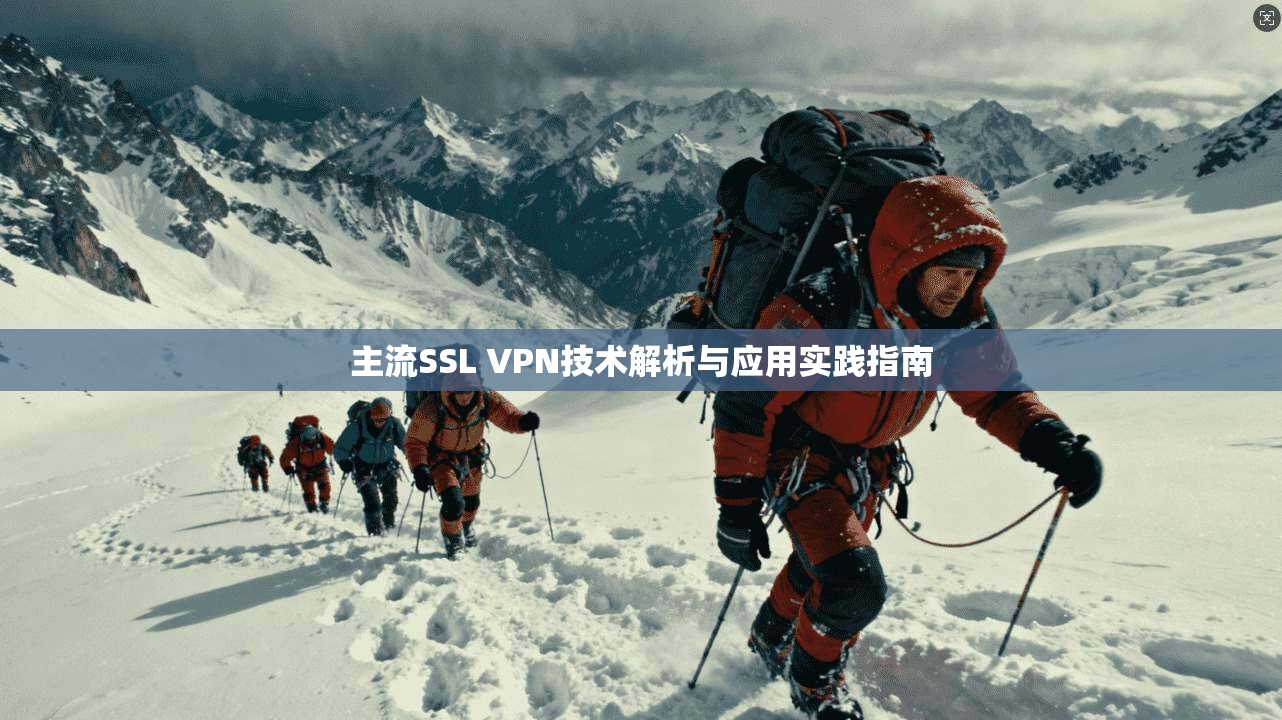 主流SSL VPN技术解析与应用实践指南