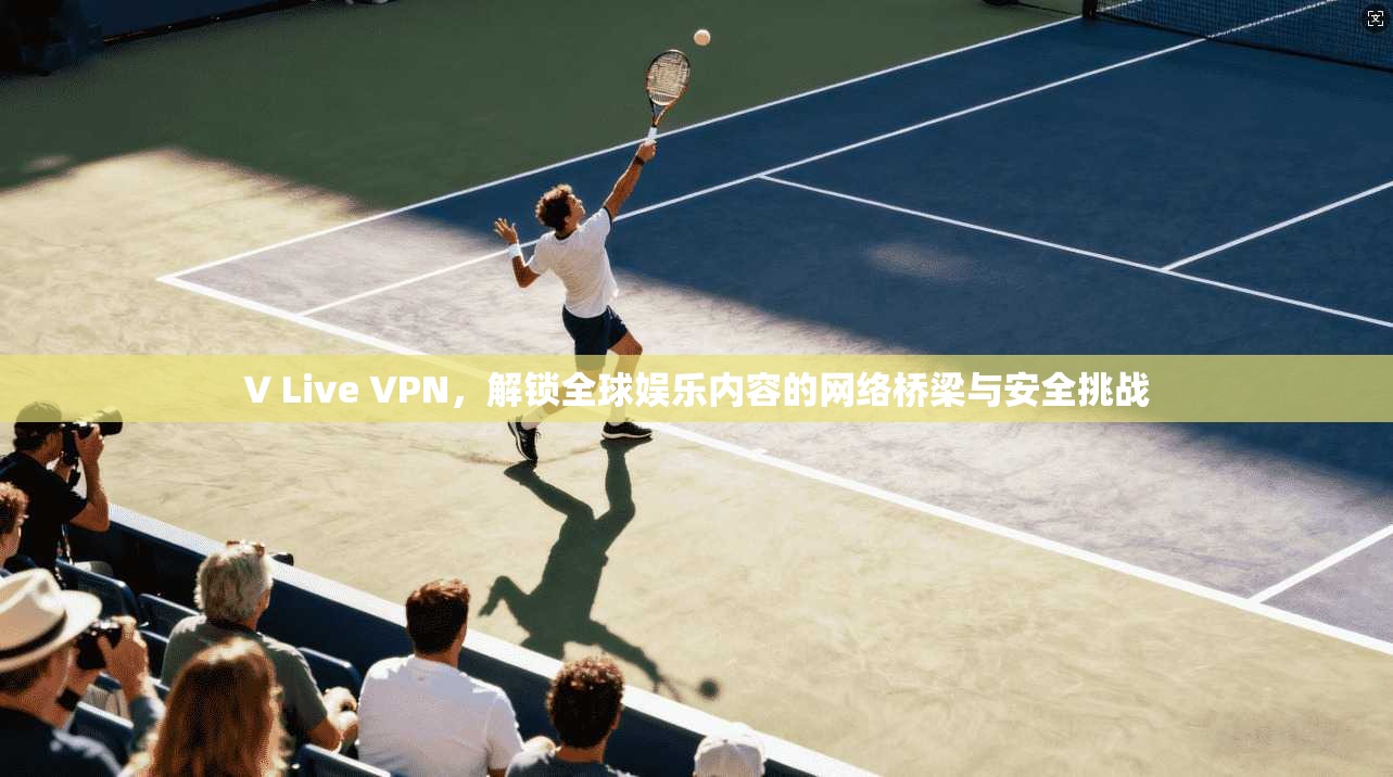 V Live VPN，解锁全球娱乐内容的网络桥梁与安全挑战