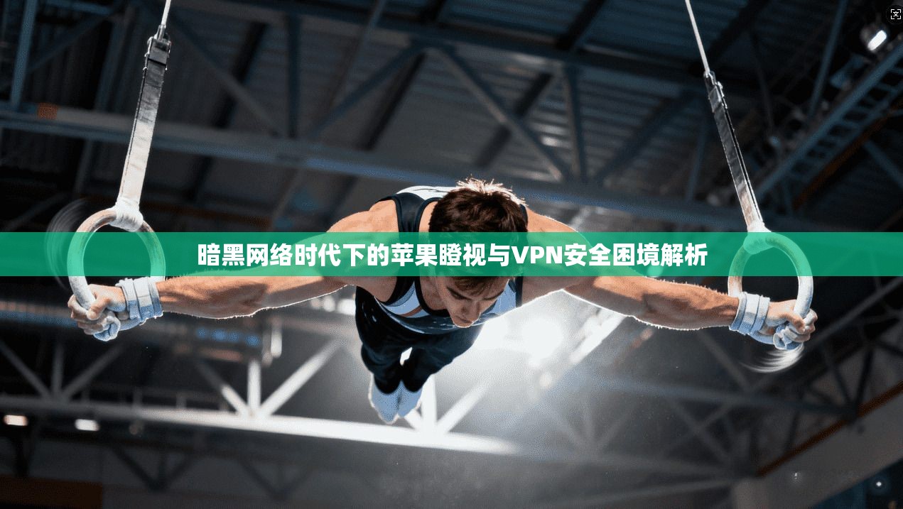 暗黑网络时代下的苹果瞪视与VPN安全困境解析