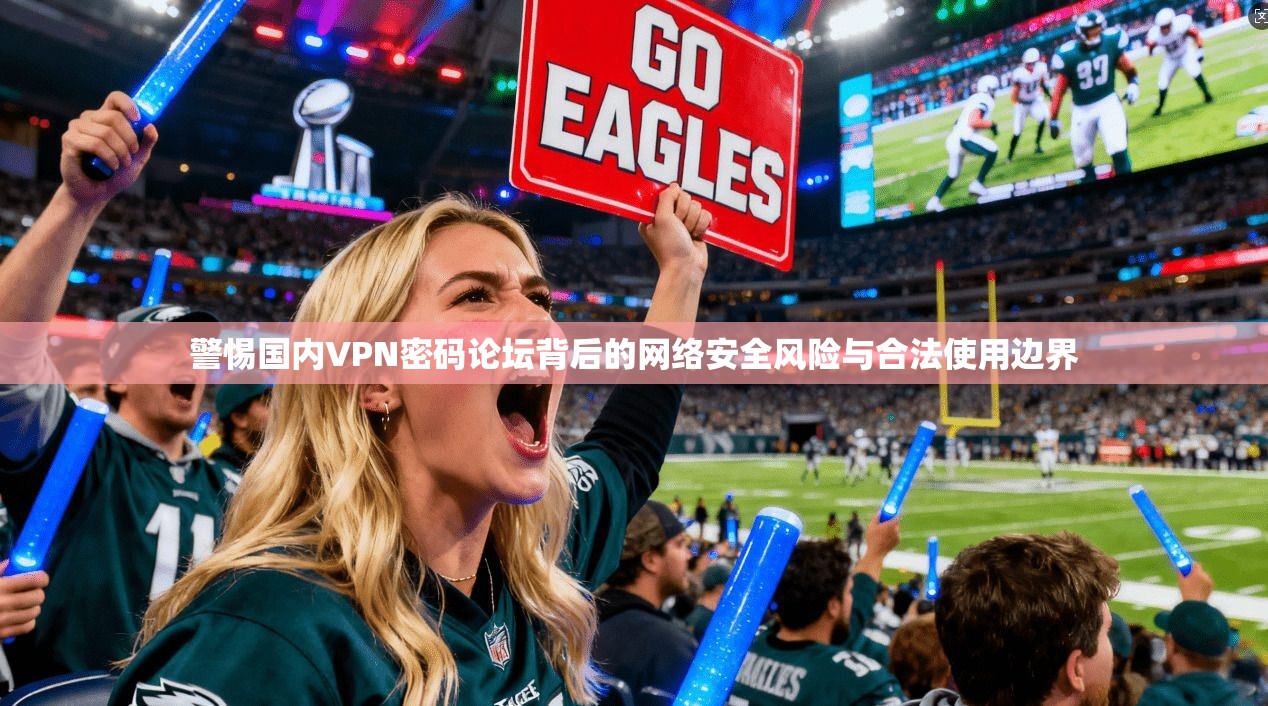 警惕国内VPN密码论坛背后的网络安全风险与合法使用边界