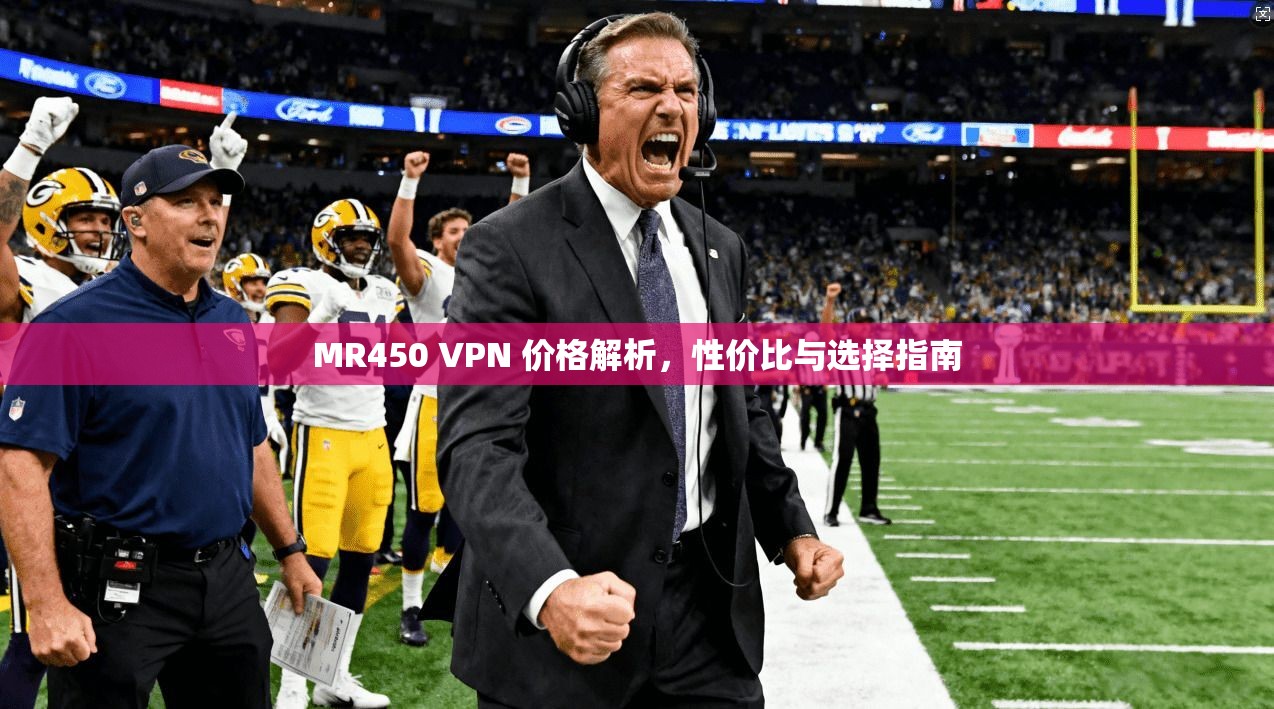 MR450 VPN 价格解析，性价比与选择指南