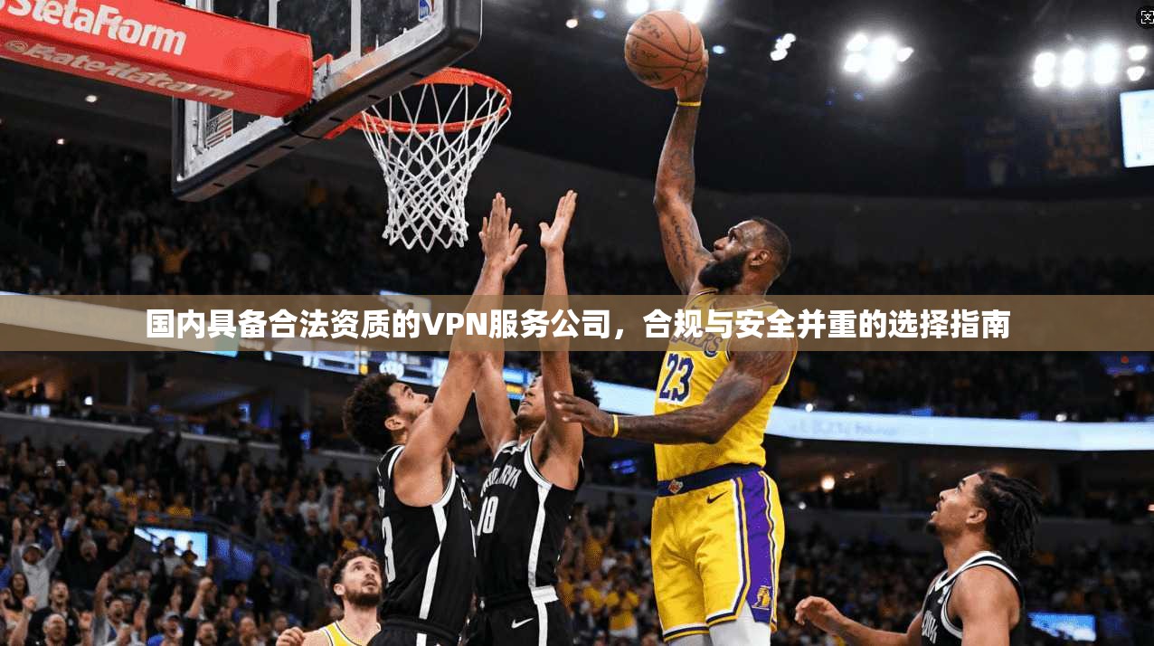 国内具备合法资质的VPN服务公司，合规与安全并重的选择指南