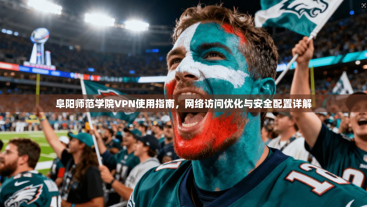 阜阳师范学院VPN使用指南，网络访问优化与安全配置详解