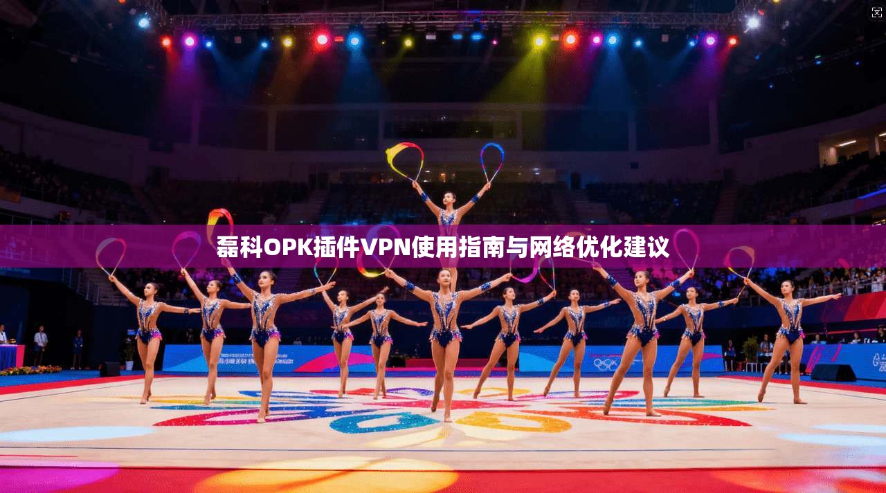 磊科OPK插件VPN使用指南与网络优化建议