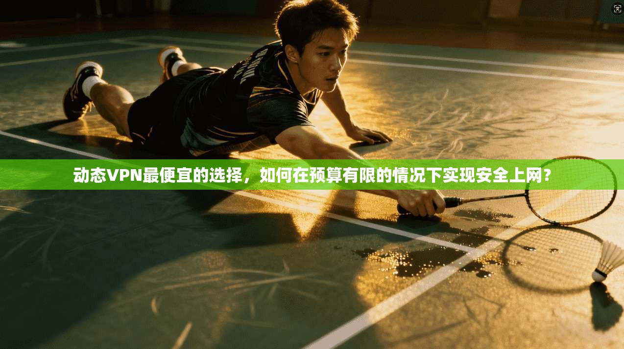 动态VPN最便宜的选择，如何在预算有限的情况下实现安全上网？