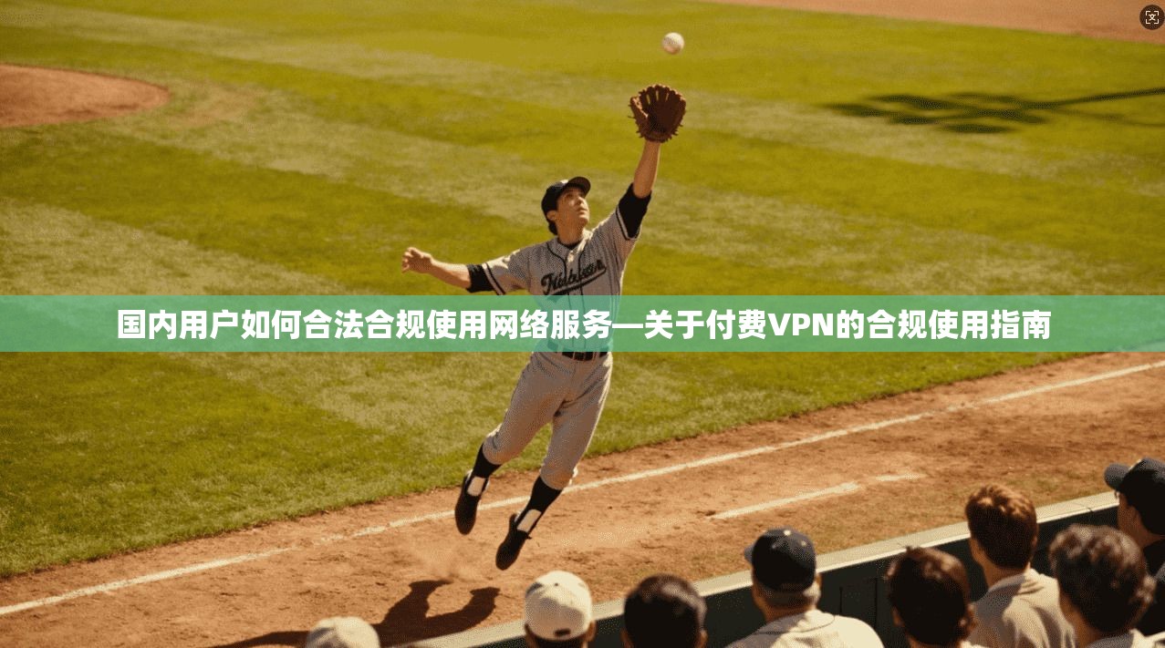 国内用户如何合法合规使用网络服务—关于付费VPN的合规使用指南