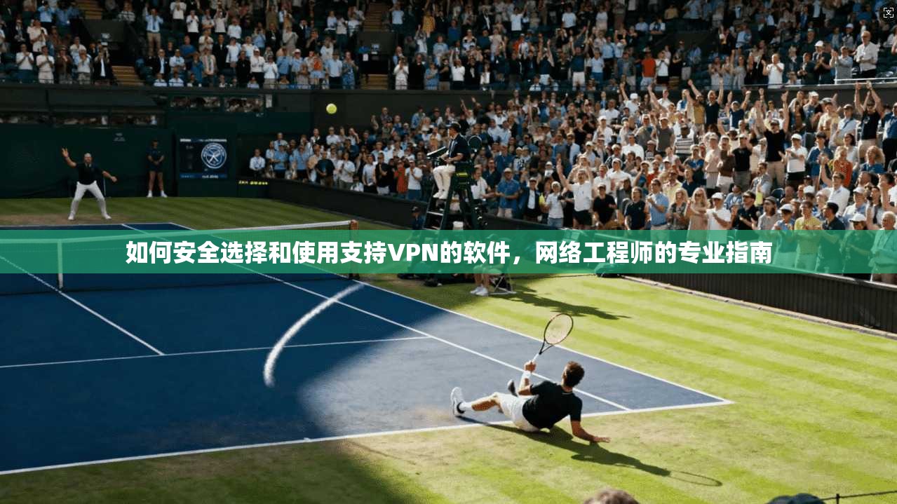 如何安全选择和使用支持VPN的软件，网络工程师的专业指南