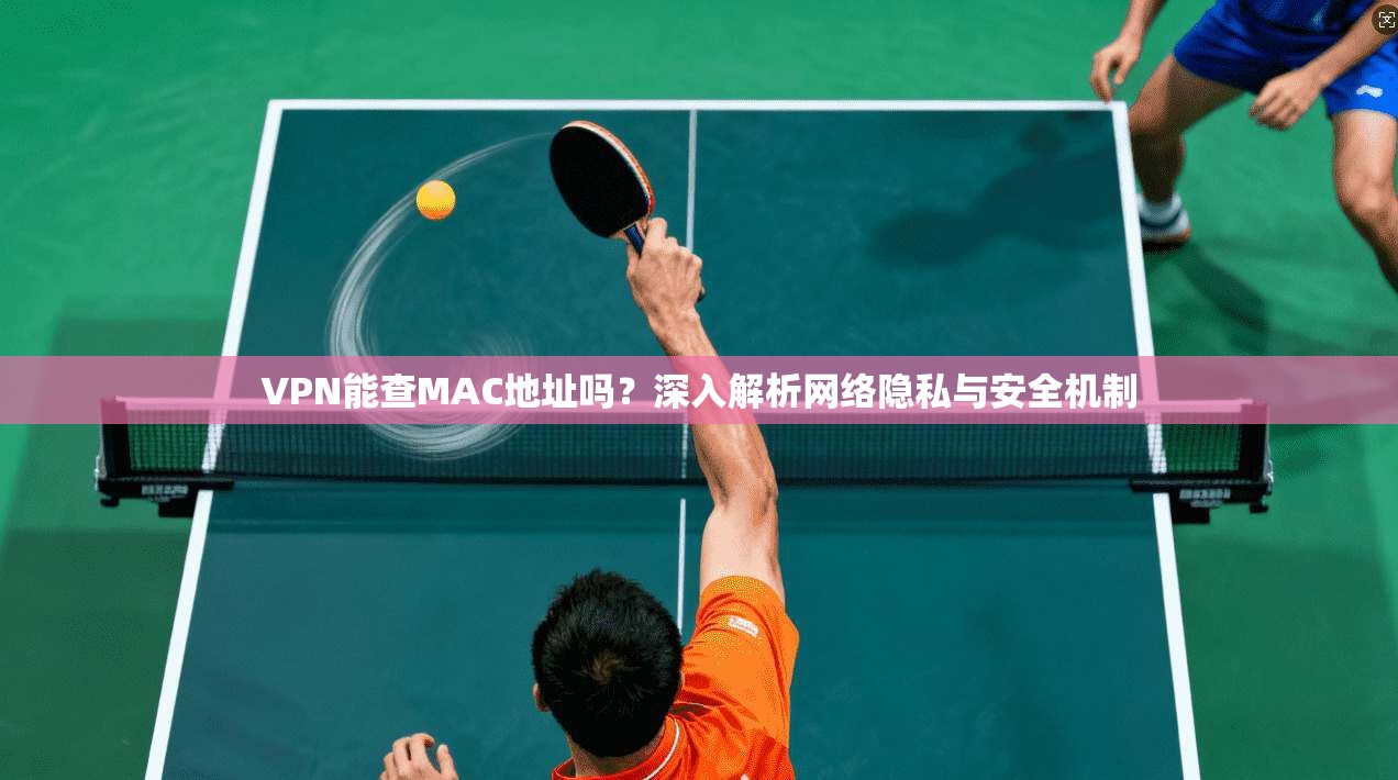 VPN能查MAC地址吗？深入解析网络隐私与安全机制