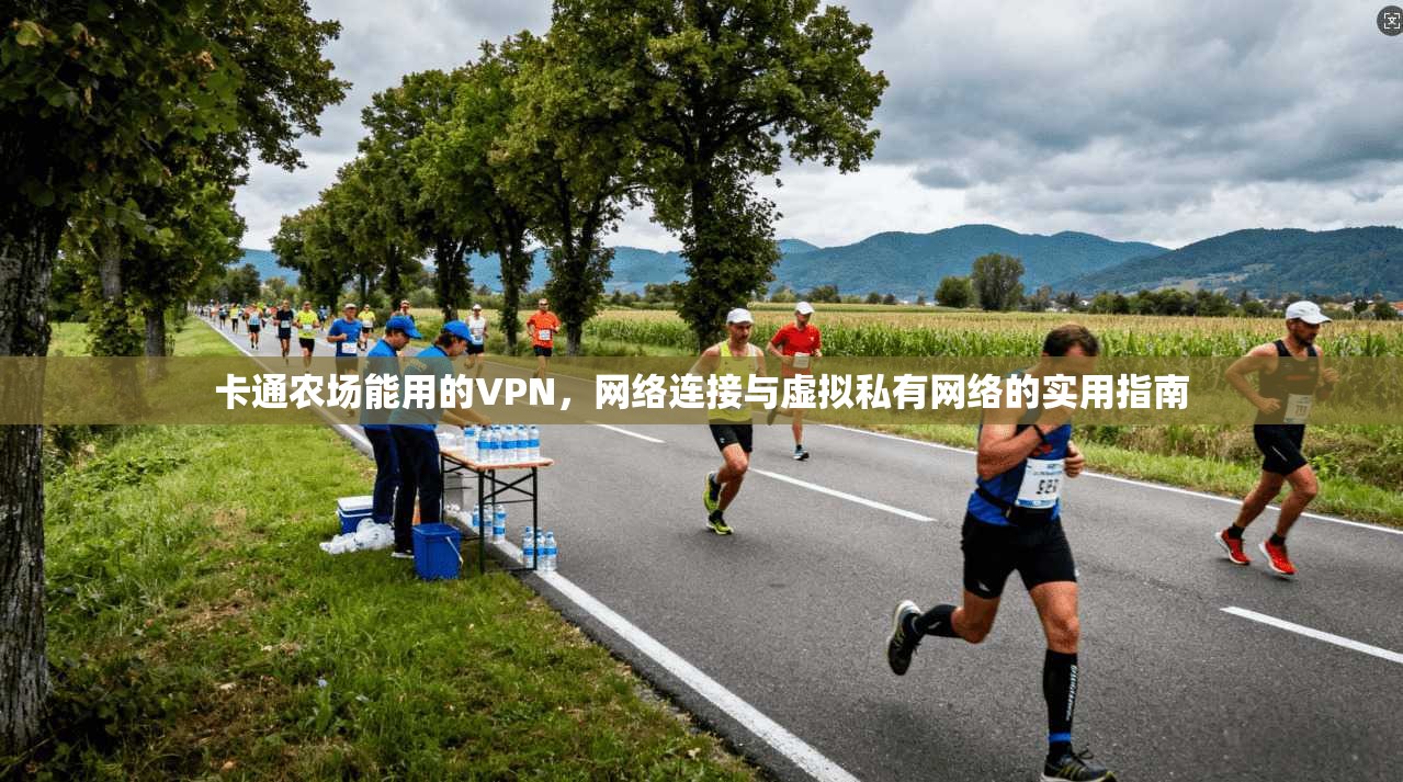 卡通农场能用的VPN，网络连接与虚拟私有网络的实用指南