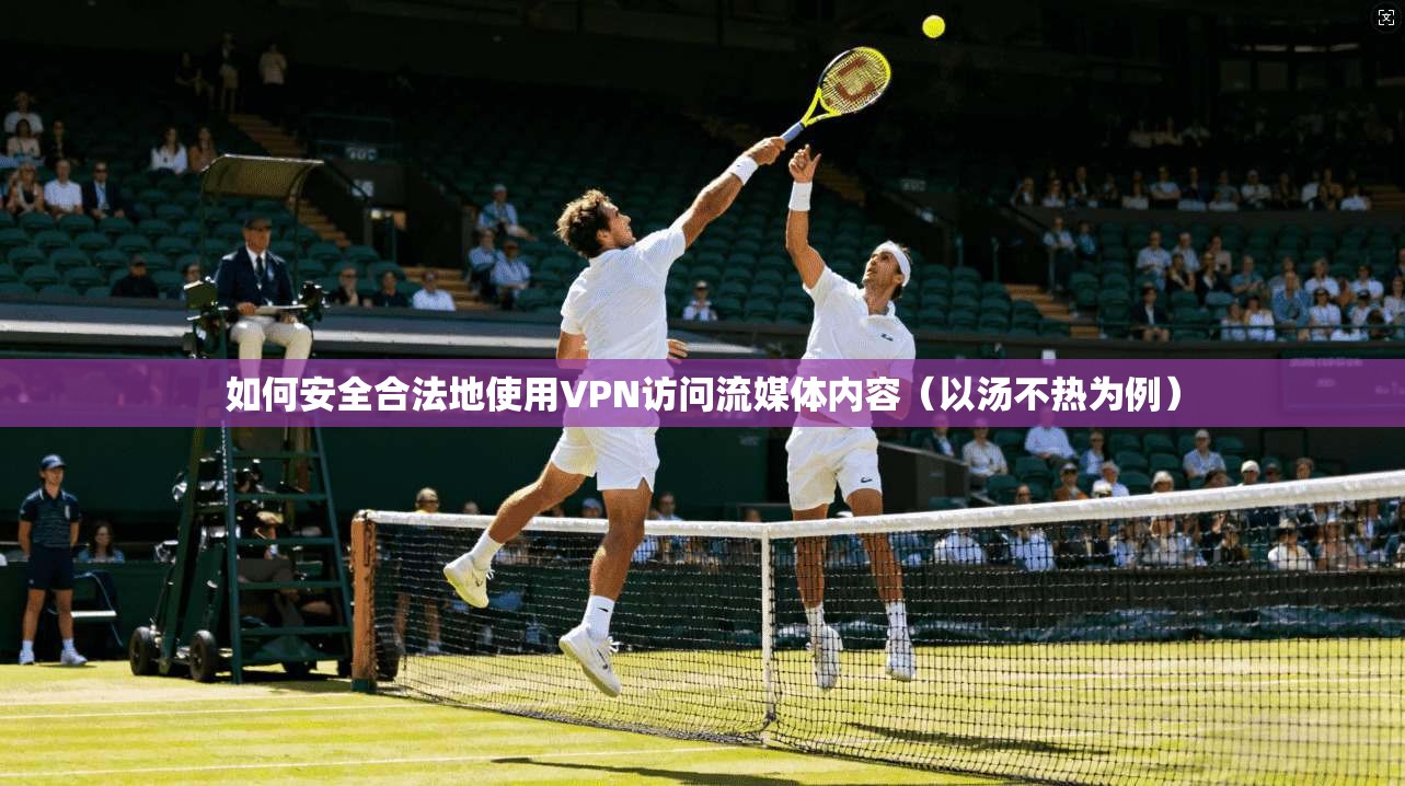如何安全合法地使用VPN访问流媒体内容（以汤不热为例）