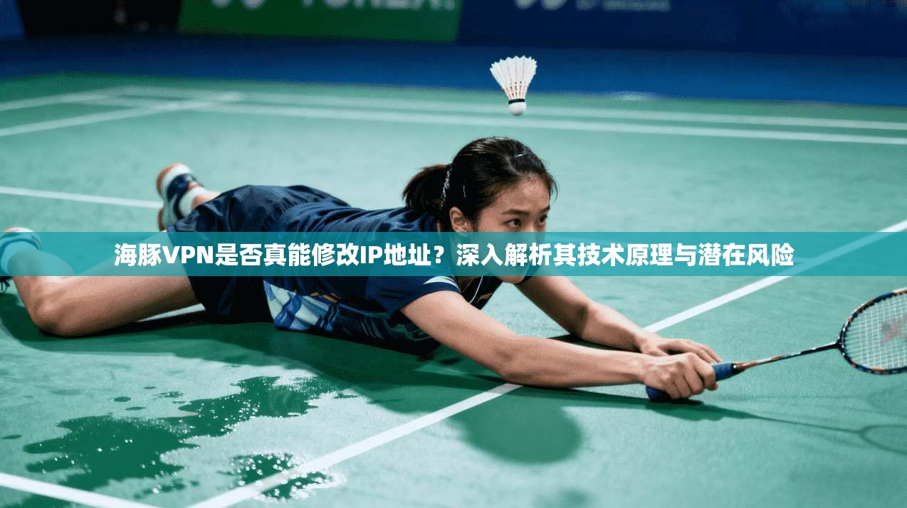 海豚VPN是否真能修改IP地址？深入解析其技术原理与潜在风险