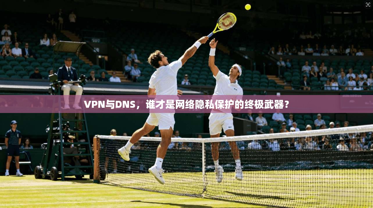 VPN与DNS，谁才是网络隐私保护的终极武器？