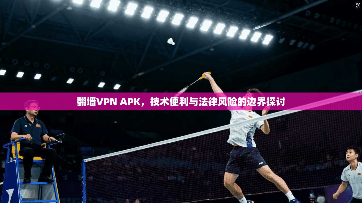 翻墙VPN APK，技术便利与法律风险的边界探讨