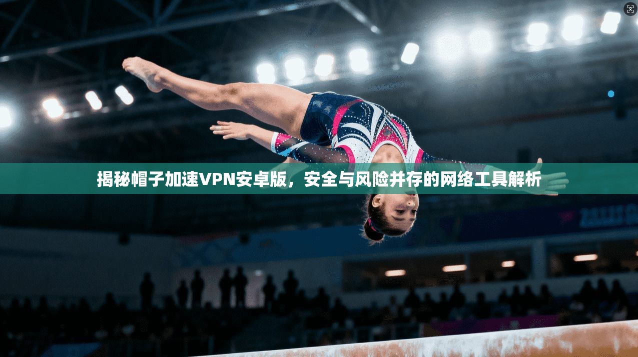 揭秘帽子加速VPN安卓版，安全与风险并存的网络工具解析