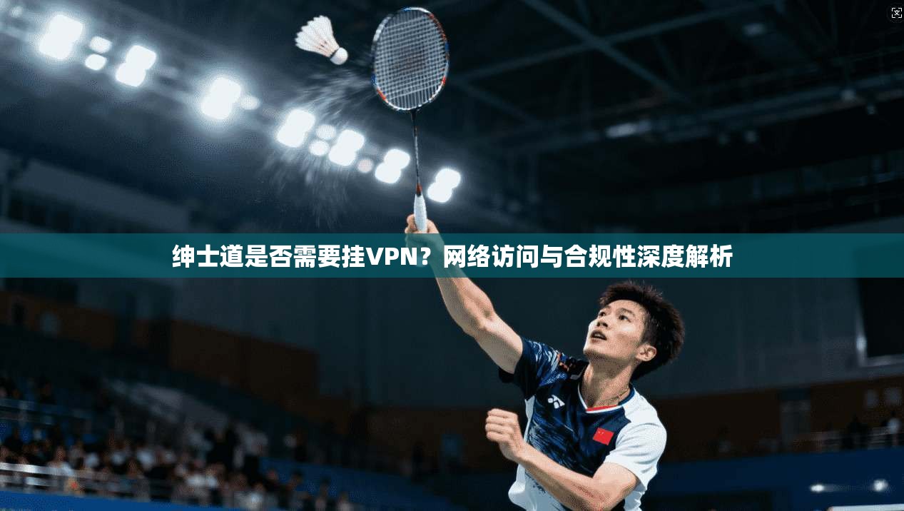 绅士道是否需要挂VPN？网络访问与合规性深度解析