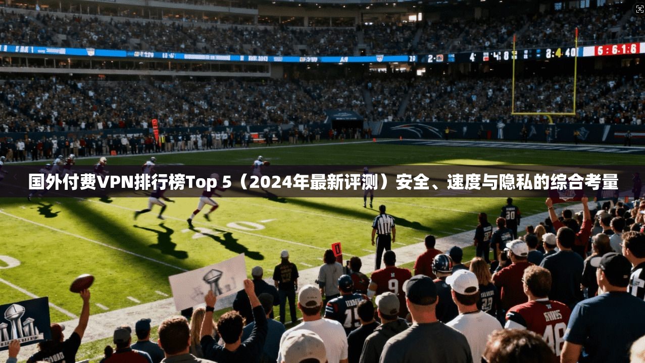 国外付费VPN排行榜Top 5（2024年最新评测）安全、速度与隐私的综合考量