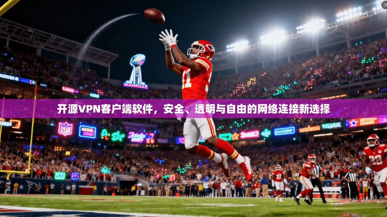 开源VPN客户端软件，安全、透明与自由的网络连接新选择