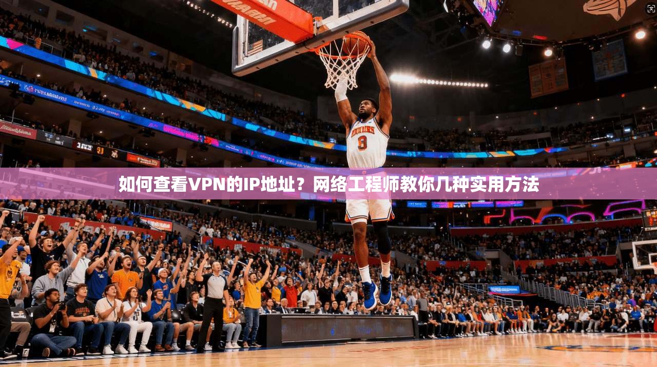如何查看VPN的IP地址？网络工程师教你几种实用方法