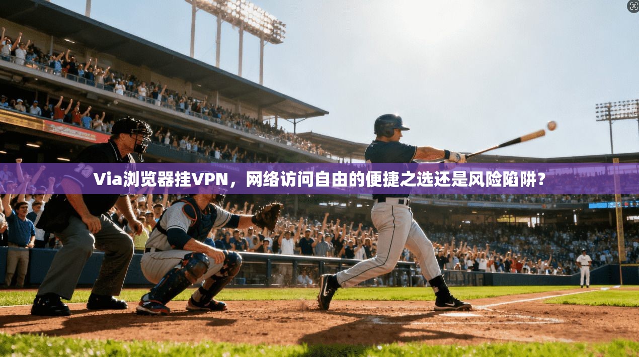 Via浏览器挂VPN，网络访问自由的便捷之选还是风险陷阱？