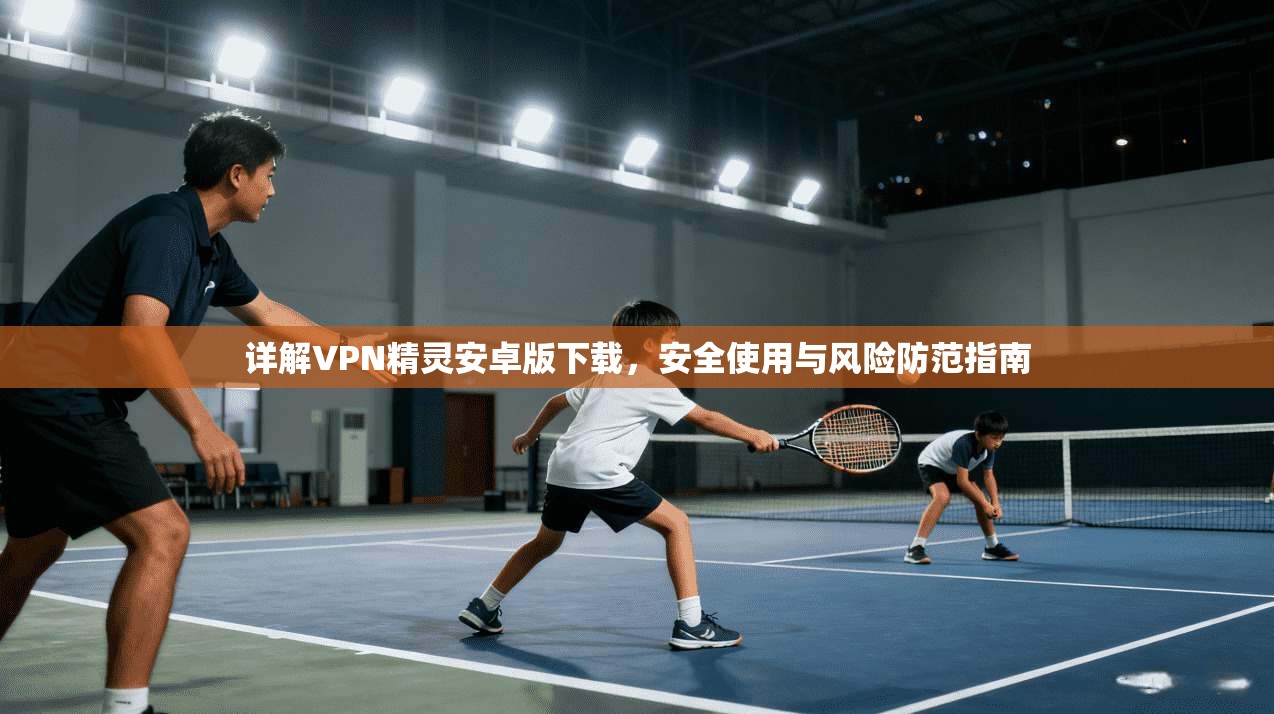 详解VPN精灵安卓版下载，安全使用与风险防范指南