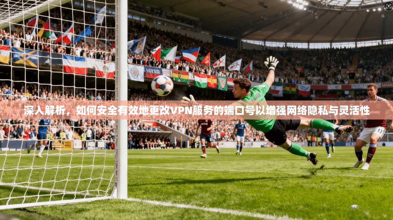 深入解析，如何安全有效地更改VPN服务的端口号以增强网络隐私与灵活性