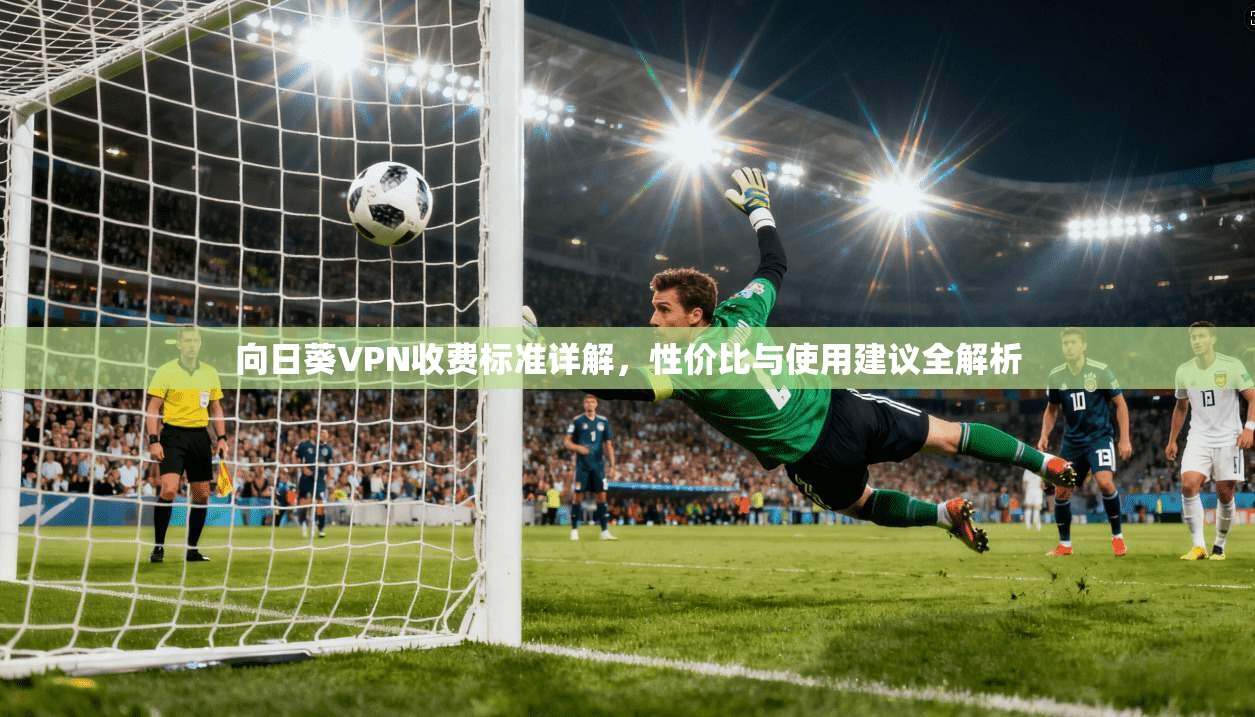 向日葵VPN收费标准详解，性价比与使用建议全解析