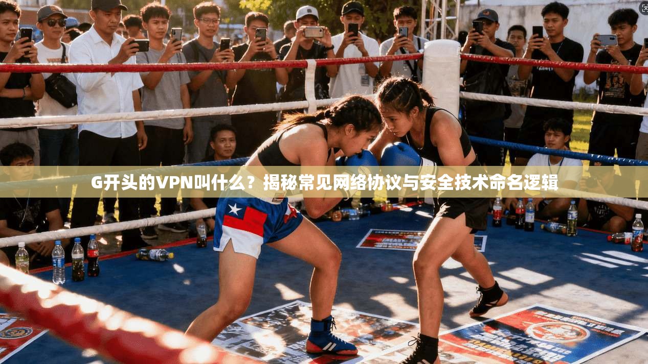 G开头的VPN叫什么？揭秘常见网络协议与安全技术命名逻辑