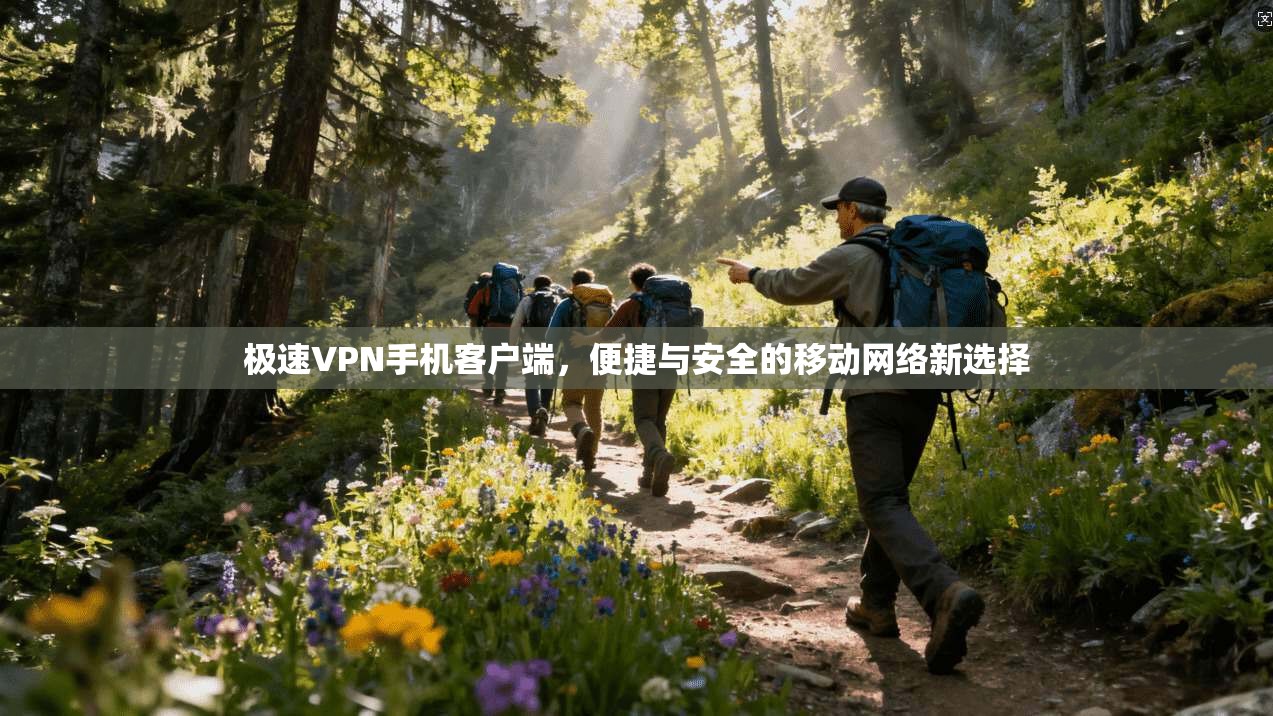 极速VPN手机客户端，便捷与安全的移动网络新选择