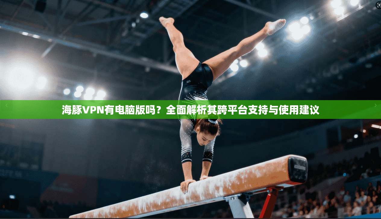 海豚VPN有电脑版吗？全面解析其跨平台支持与使用建议