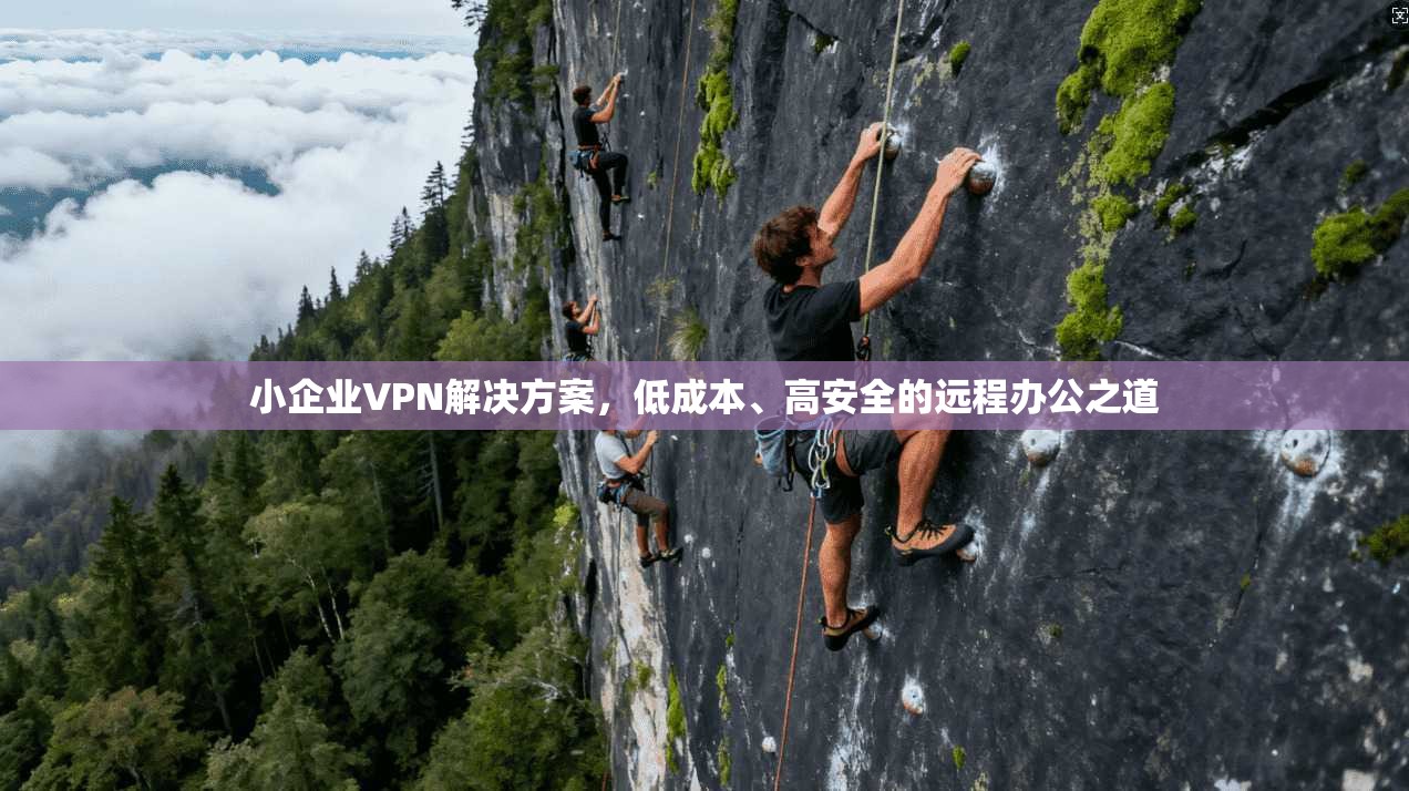 小企业VPN解决方案，低成本、高安全的远程办公之道