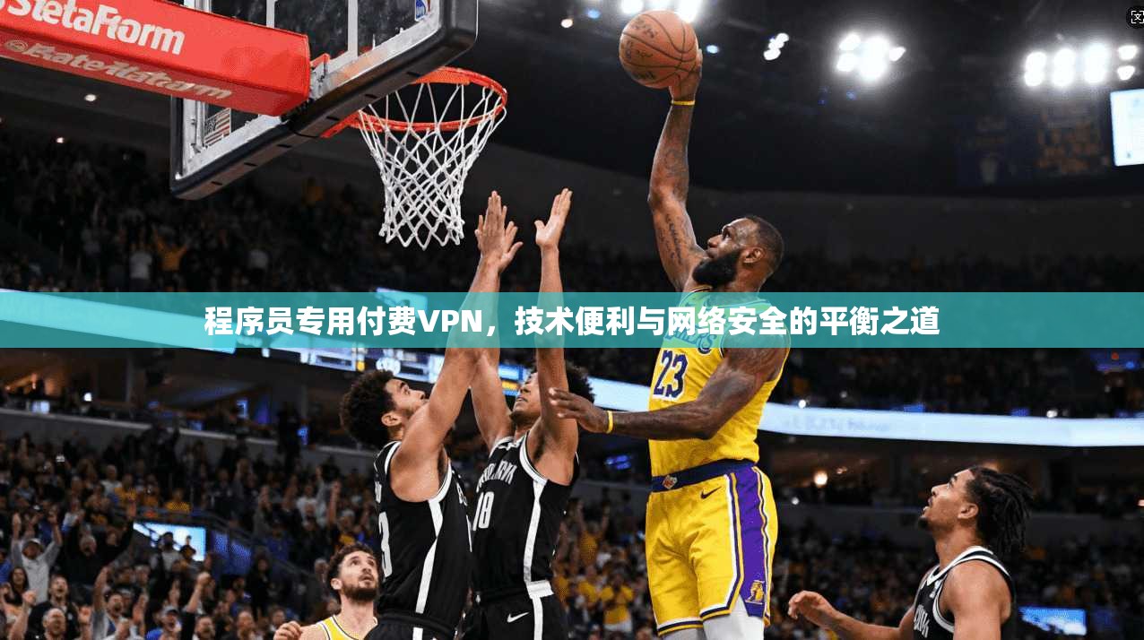 程序员专用付费VPN，技术便利与网络安全的平衡之道