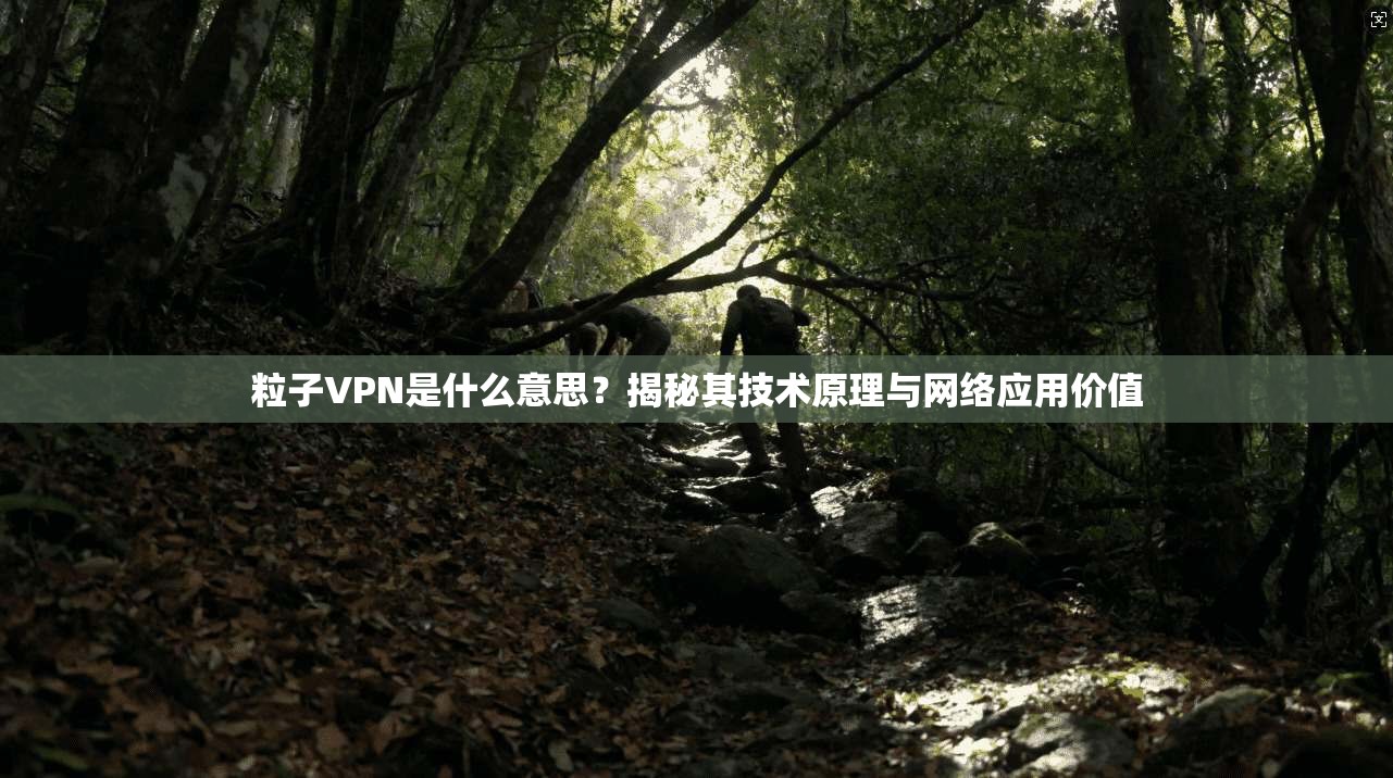 粒子VPN是什么意思？揭秘其技术原理与网络应用价值
