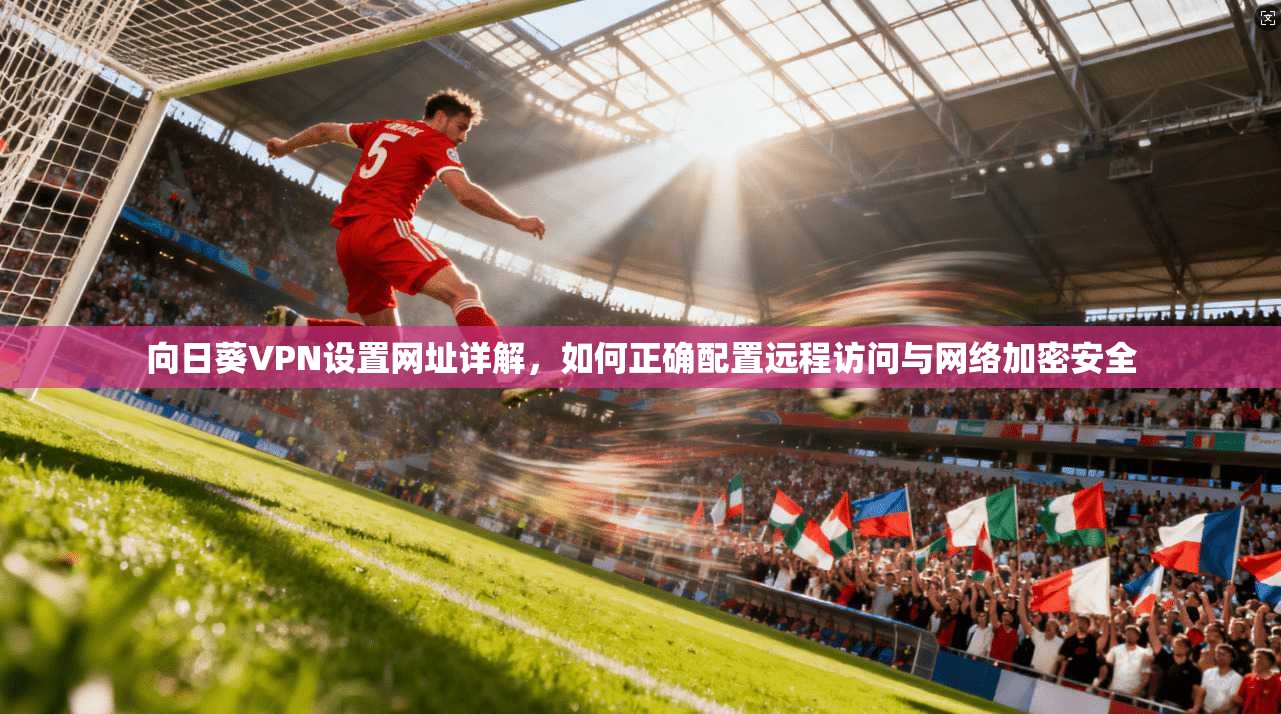向日葵VPN设置网址详解，如何正确配置远程访问与网络加密安全