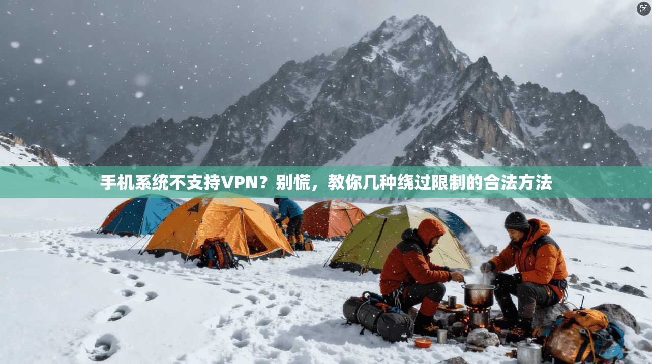 手机系统不支持VPN？别慌，教你几种绕过限制的合法方法