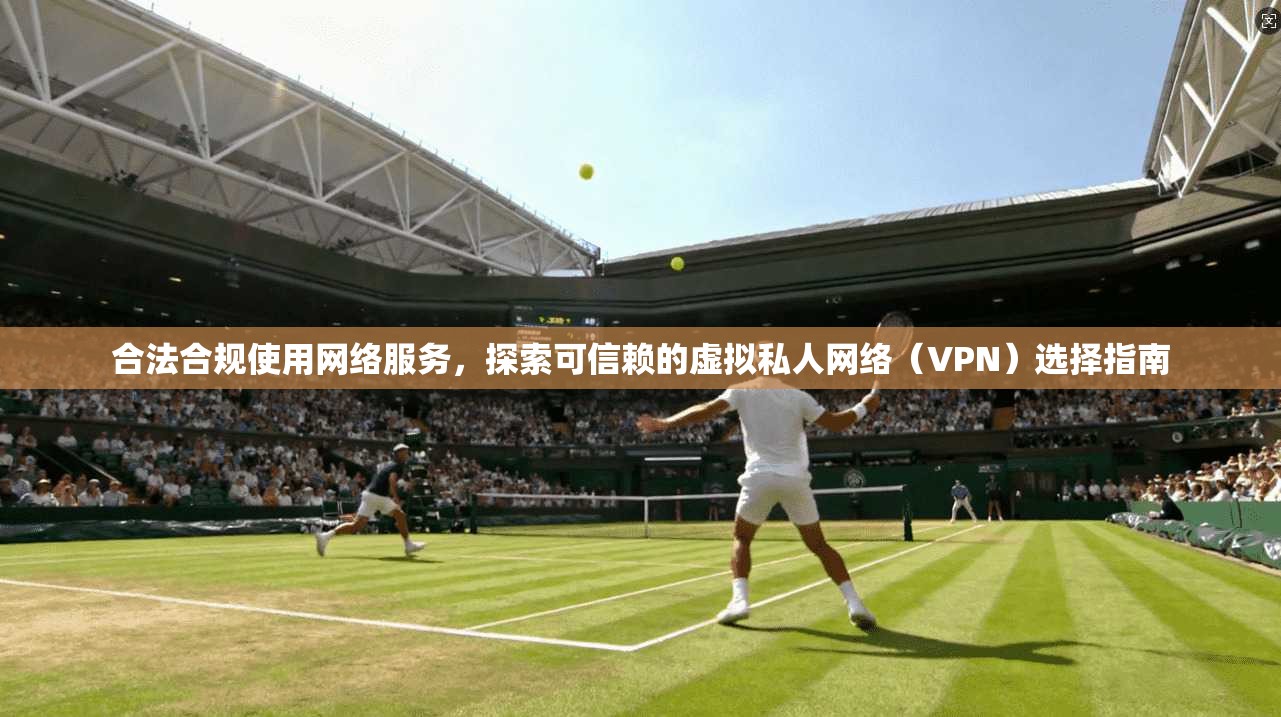 合法合规使用网络服务，探索可信赖的虚拟私人网络（VPN）选择指南