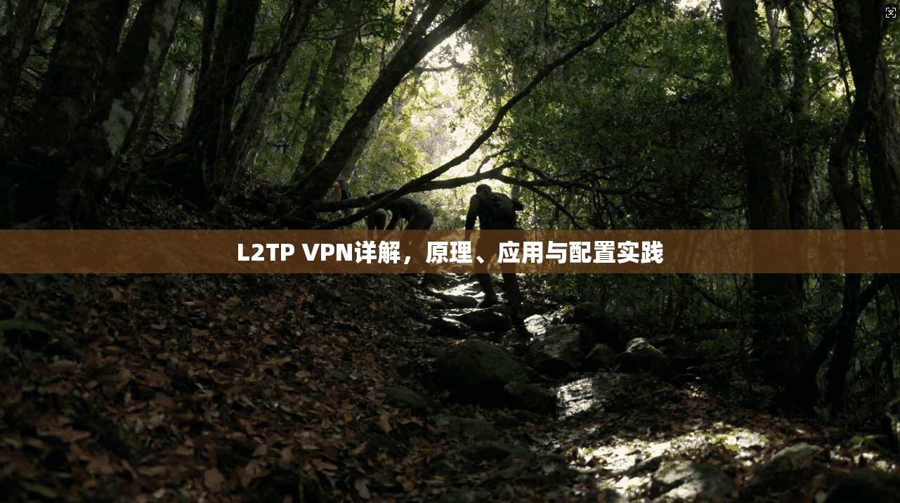 L2TP VPN详解，原理、应用与配置实践